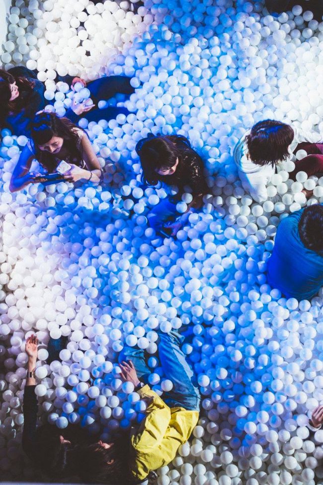 17436086_1919819921583089_3309472695857240737_o