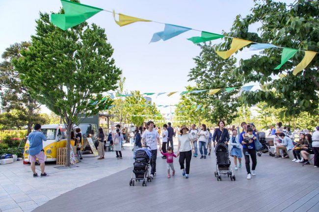 18451531_125522458003926_8988832526585223954_o